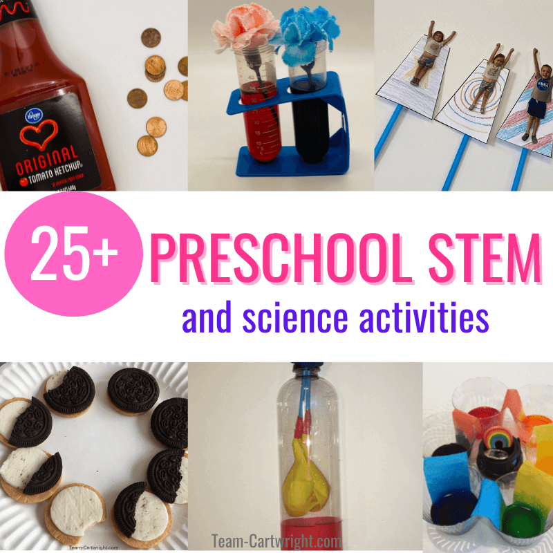 Text: 25+ Preschool STEM and science activities. Pictures clockwise from top left: Cleaning pennies with ketchup experiment, dyed flowers science, superhero straw shooters, walking water rainbow STEM, diy lung model, cookie moon phase edible science experiment
image click leads to Preschool STEM Activities page