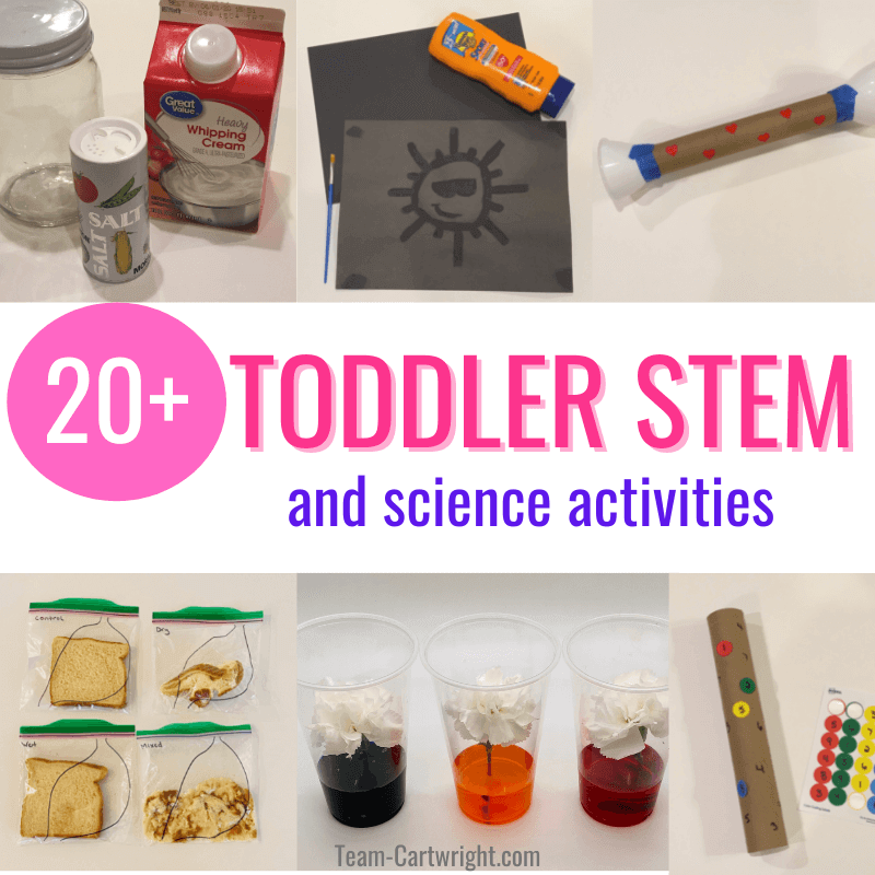 Text: 20+ Toddler STEM and Science Activities. 6 Pictures Clockwise from top Homemade Butter Experiment, Sunscreen Painting STEAM, DIY stethoscope, paper towel roll number matching, colored flowers capillary action experiment, stomach digestion experiment.