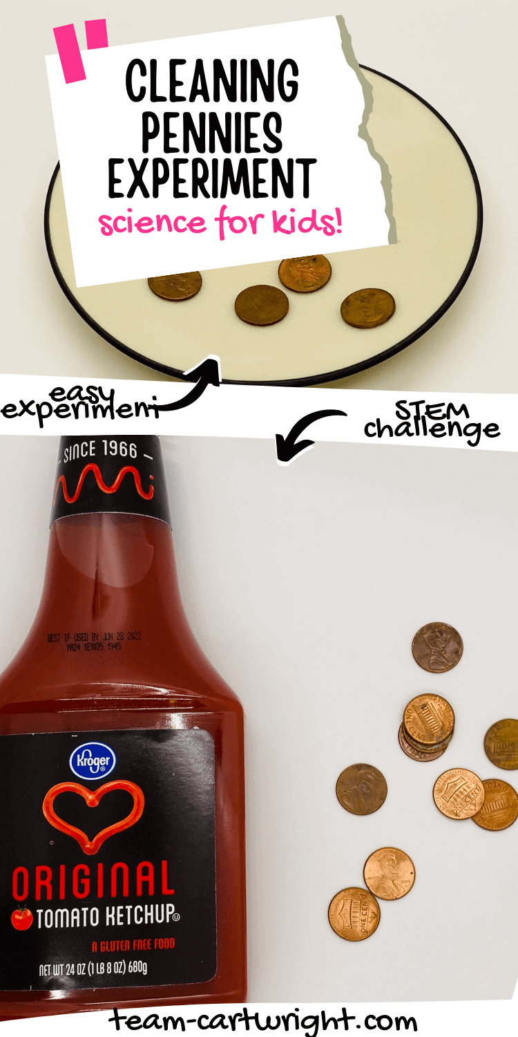 Cleaning Pennies Experiment Worksheets