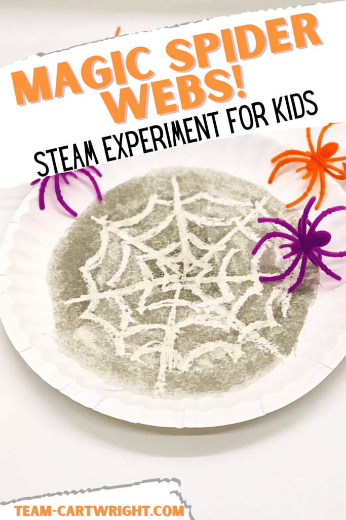 Paper Plate Spider Web, Kids' Crafts