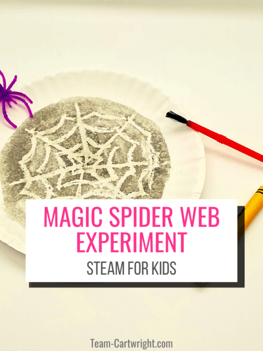 Text: Magic Spider Web Experiment STEAM for Kids; Picture: paper plate with magic spider web that appeared once painted black
