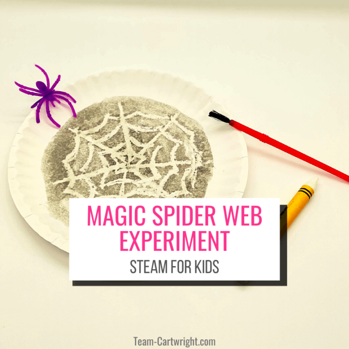 Text: Magic Spider Web Experiment STEAM for Kids; Picture: paper plate with magic spider web that appeared once painted black