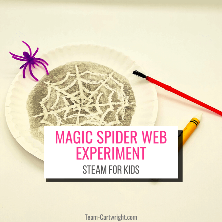 https://team-cartwright.com/wp-content/uploads/2021/10/magic-spiderweb-STEAM-experiment-1-720x720.png