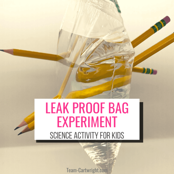 No Leak Magic Bag Science Experiment for Kids - Life Over C's