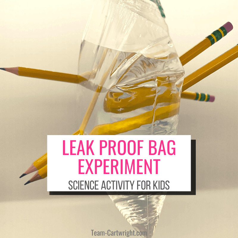 text: Leak Proof Bag Experiment Science Activity for Kids Picture: plastic resealable bag filled with water with 3 pencils jabbed through it, no water leaking