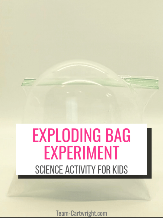 Text: Exploding Bag Experiment Science Activity for Kids Picture: sealable baggie puffed up ready to explode from science experiment